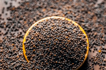 Mustard Seeds